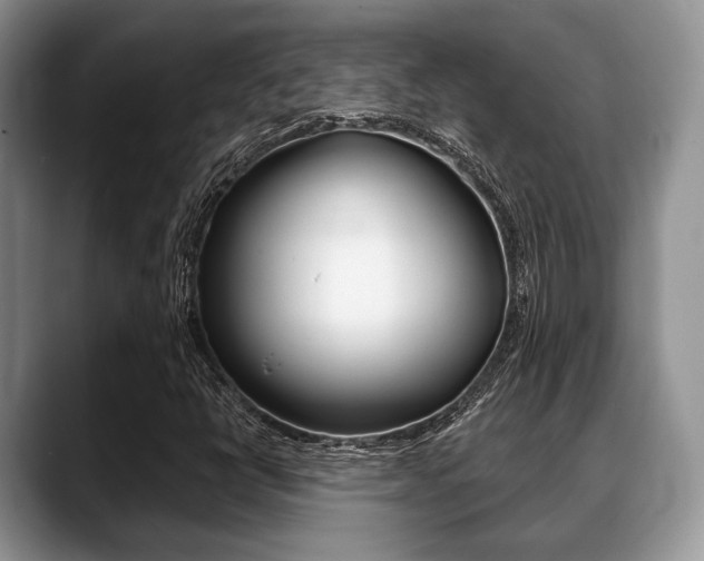 X0000088891398200706080757