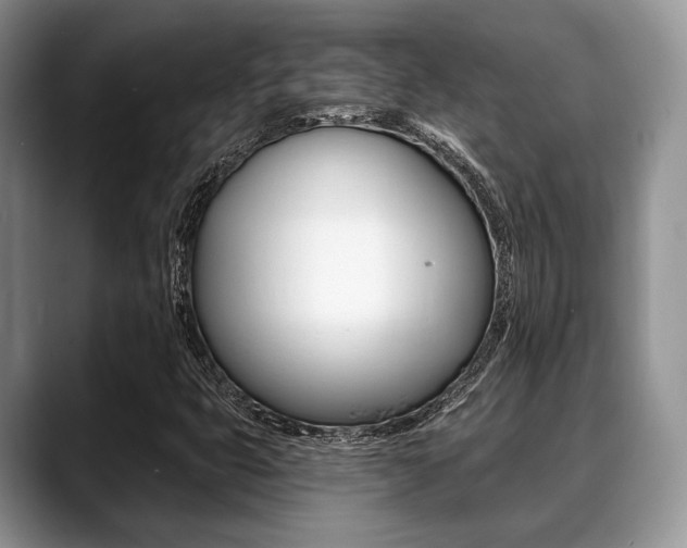 X0000088891399200706080757
