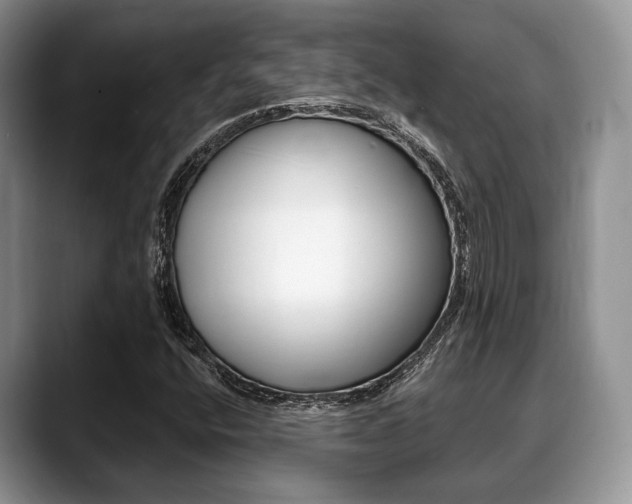 X0000088891400200706080757