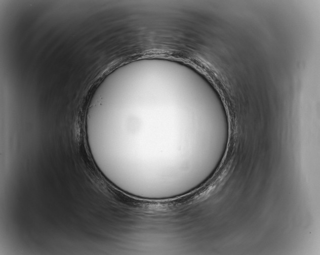 X0000088891401200706080757