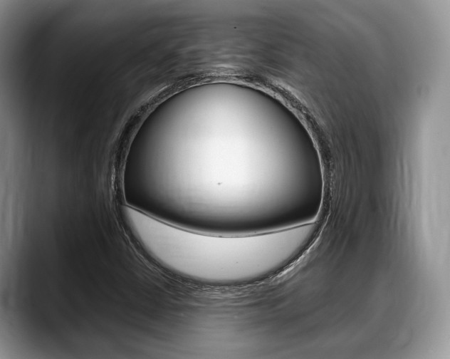 X0000088891402200706080757