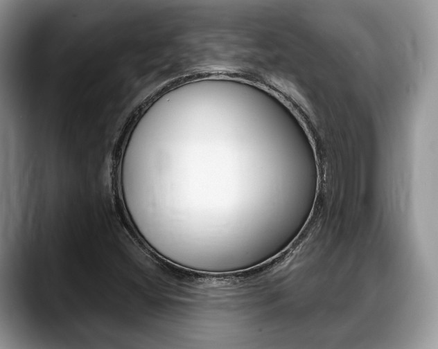 X0000088891404200706080757