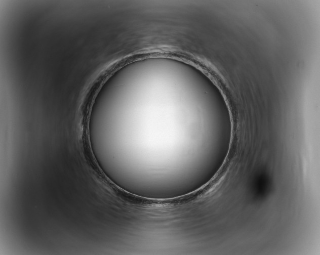 X0000088891406200706080757