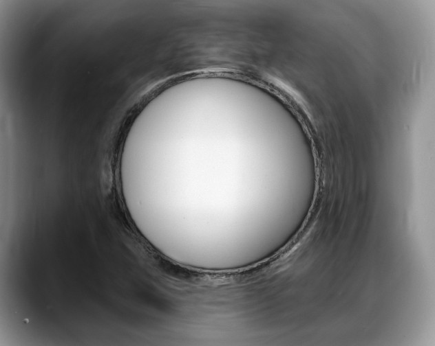 X0000088891407200706080757