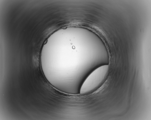 X0000088891409200706080757