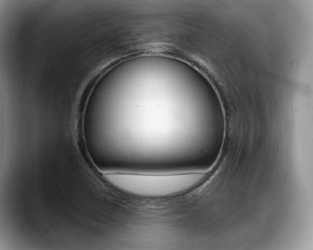 X0000088891410200706080757