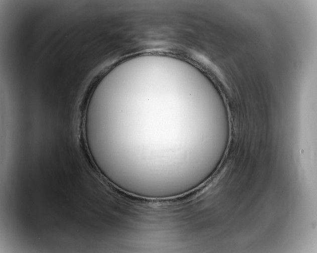 X0000088891411200706080757