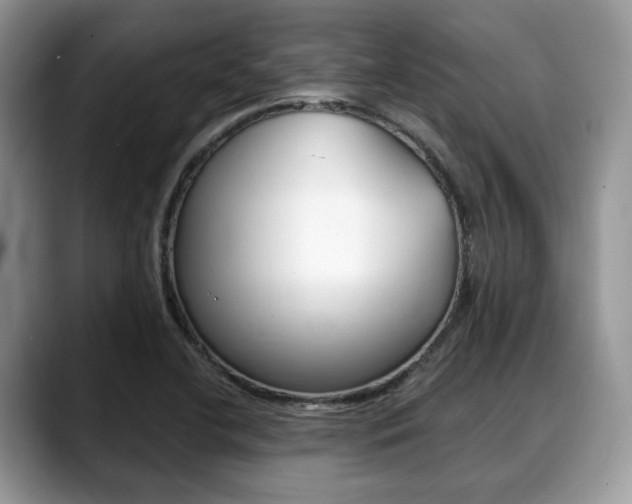 X0000088891412200706080757