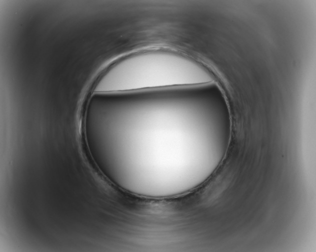 X0000088891416200706080757