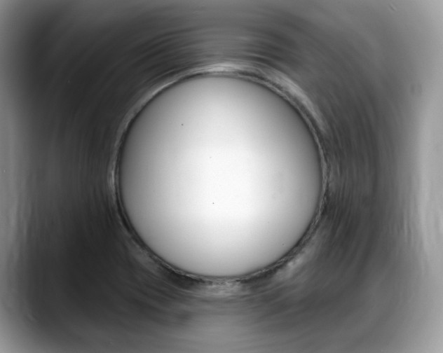X0000088891417200706080757