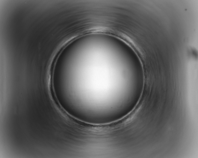 X0000088891418200706080757