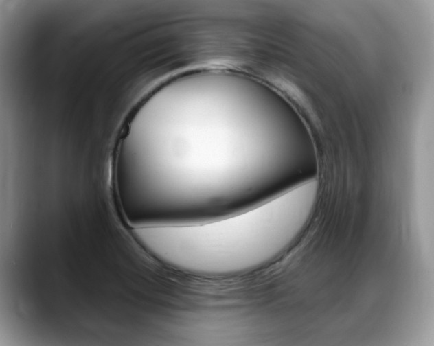 X0000088891420200706080757