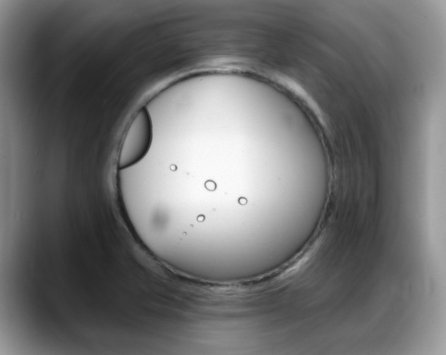 X0000088891421200706080757