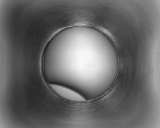 X0000088891423200706080757