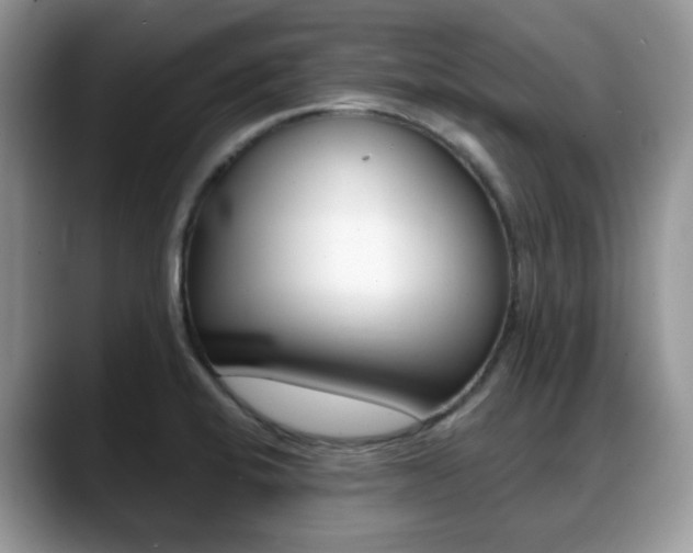 X0000088891424200706080757