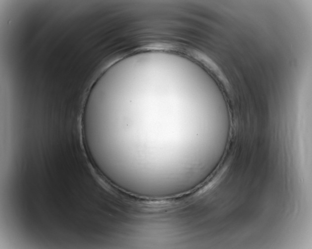 X0000088891425200706080757