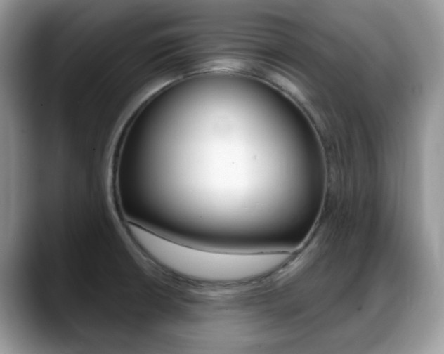 X0000088891426200706080757