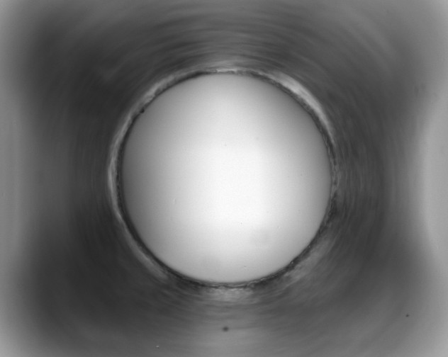 X0000088891429200706080757
