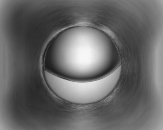 X0000088891430200706080757