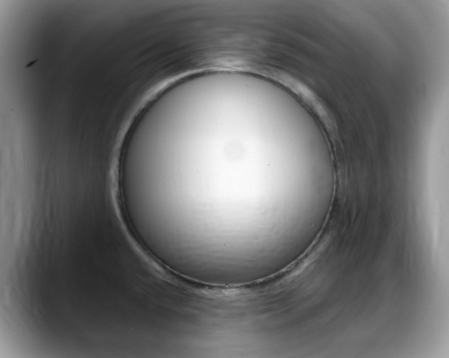 X0000088891432200706080757