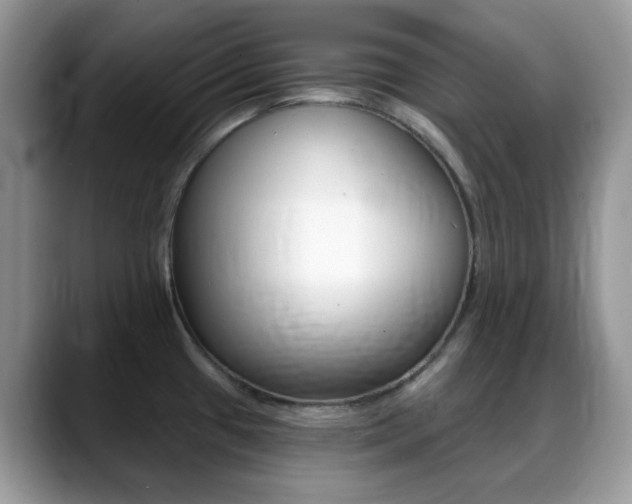 X0000088891433200706080757