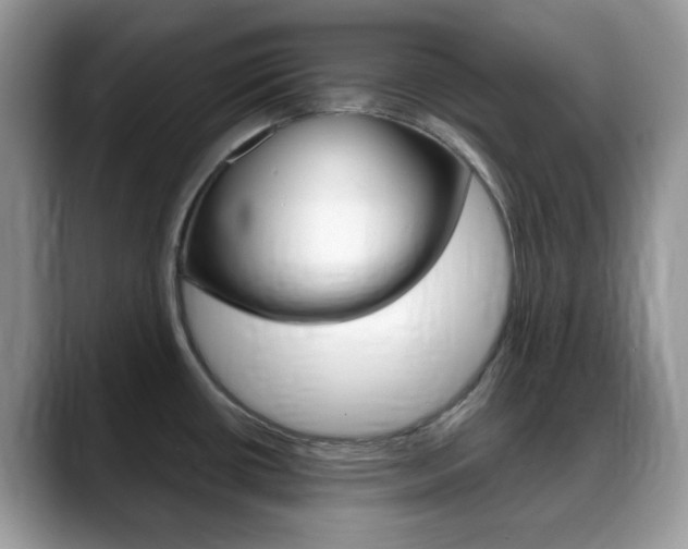 X0000088891434200706080757