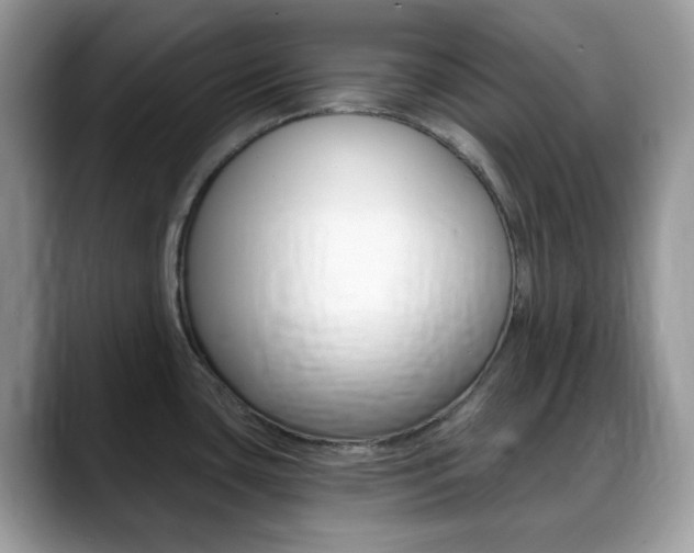 X0000088891435200706080757
