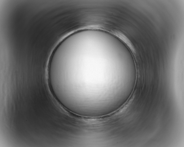 X0000088891436200706080757