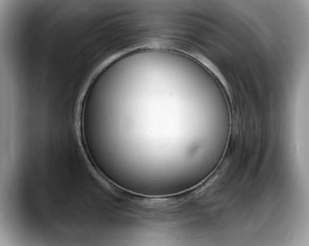 X0000088891437200706080757