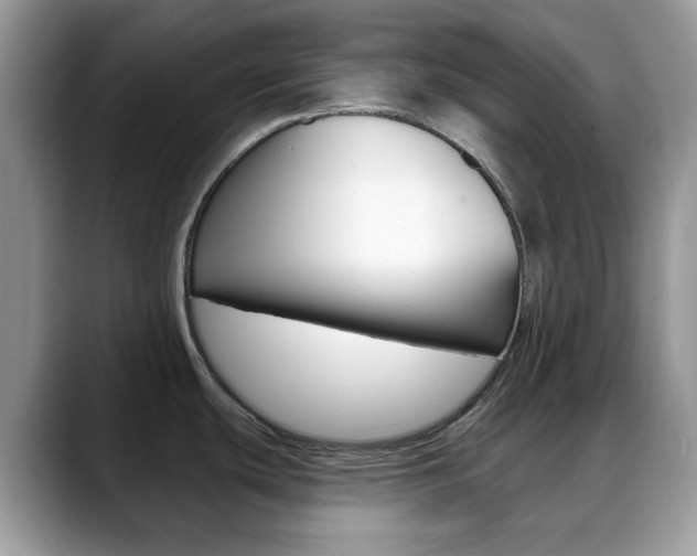 X0000088891439200706080758