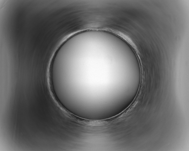 X0000088891440200706080758