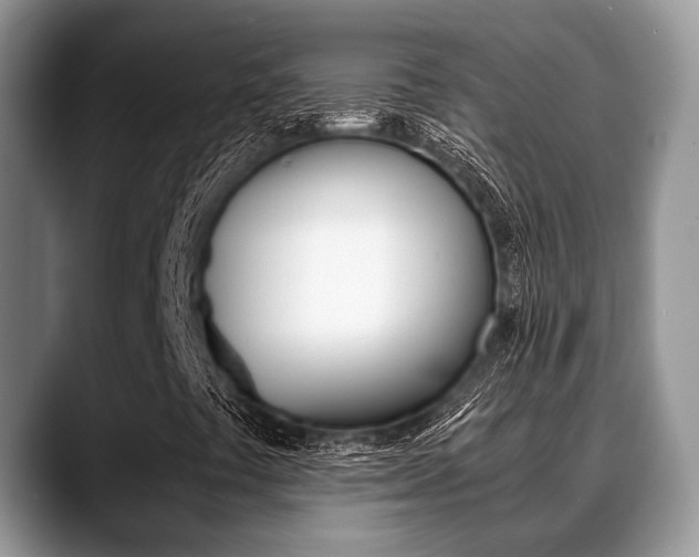 X0000088891441200706080757