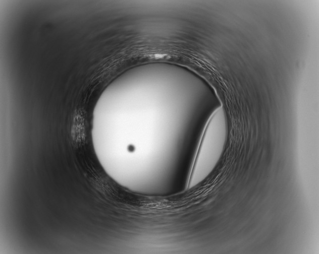 X0000088891442200706080757