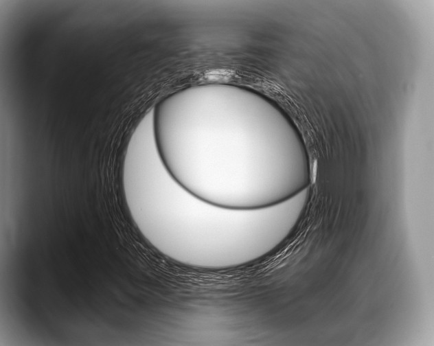 X0000088891443200706080757