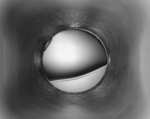 X0000088891444200706080757