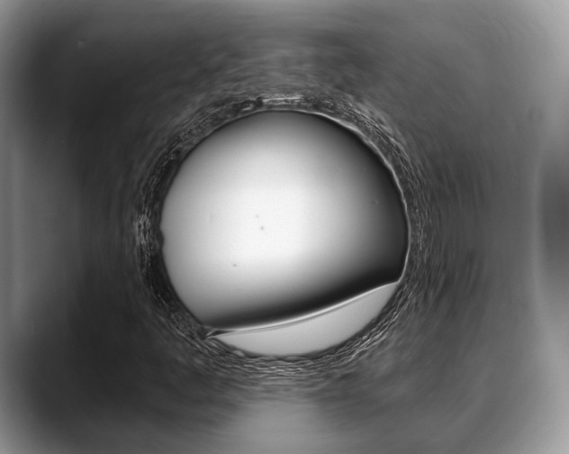 X0000088891445200706080757