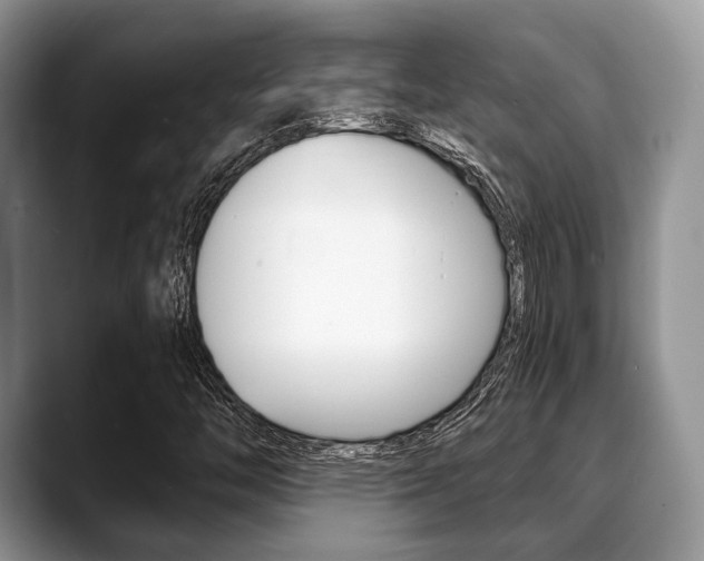 X0000088891446200706080757