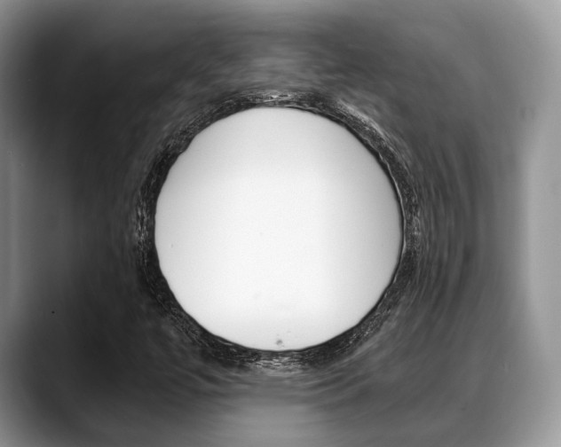 X0000088891447200706080757