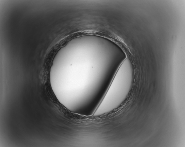 X0000088891448200706080757