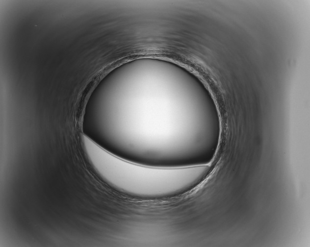 X0000088891449200706080757