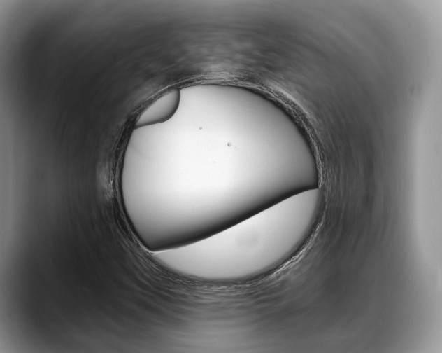 X0000088891451200706080757