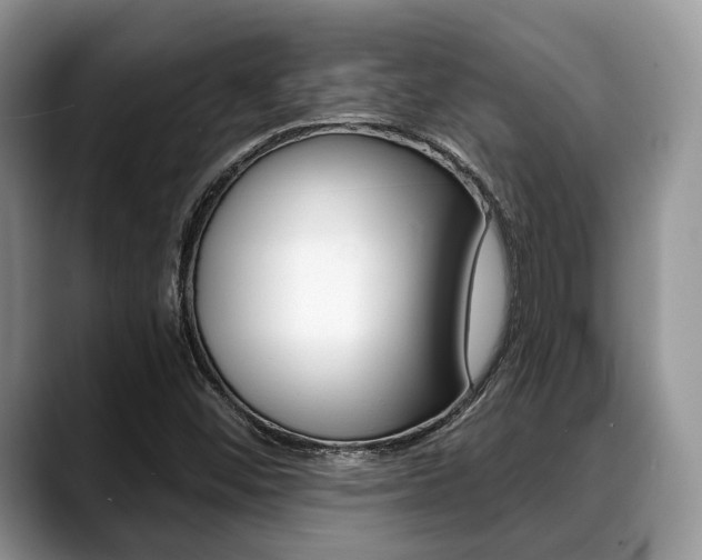 X0000088891452200706080757