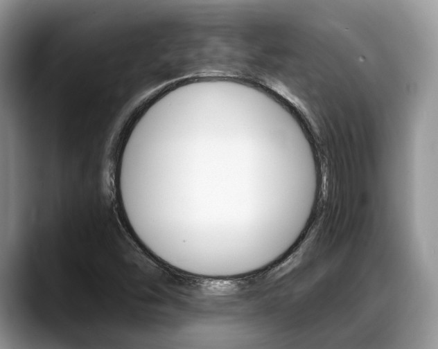 X0000088891454200706080757