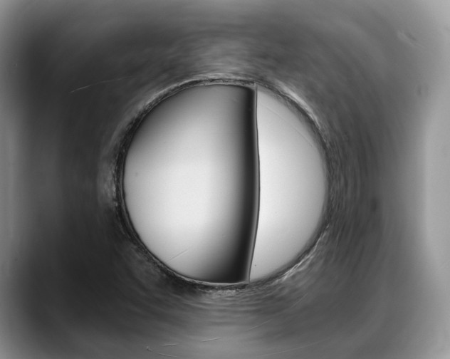 X0000088891455200706080757