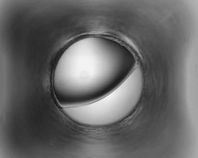 X0000088891456200706080757