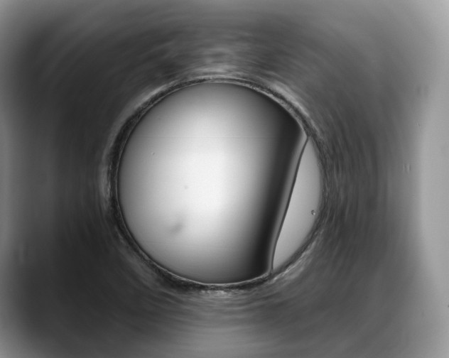 X0000088891458200706080757
