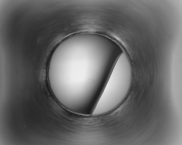 X0000088891459200706080757