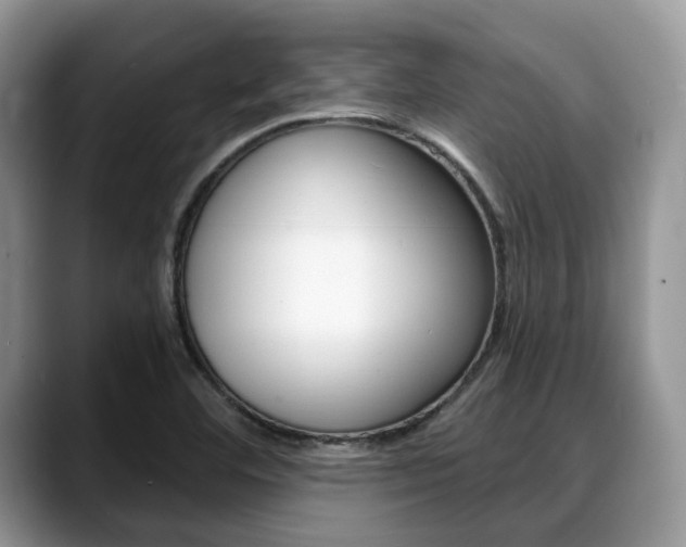 X0000088891460200706080757