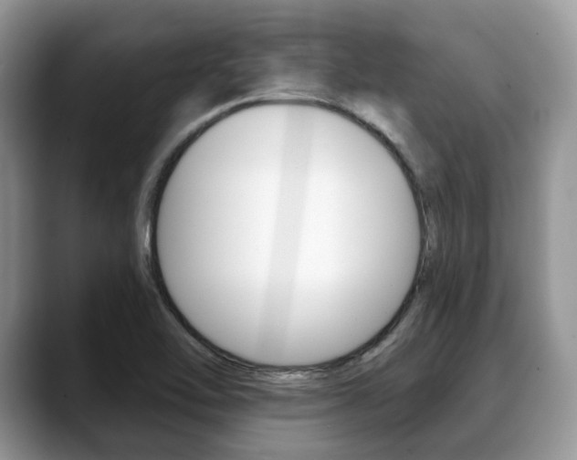X0000088891462200706080757