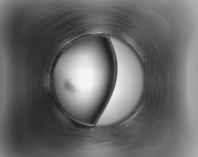 X0000088891465200706080757